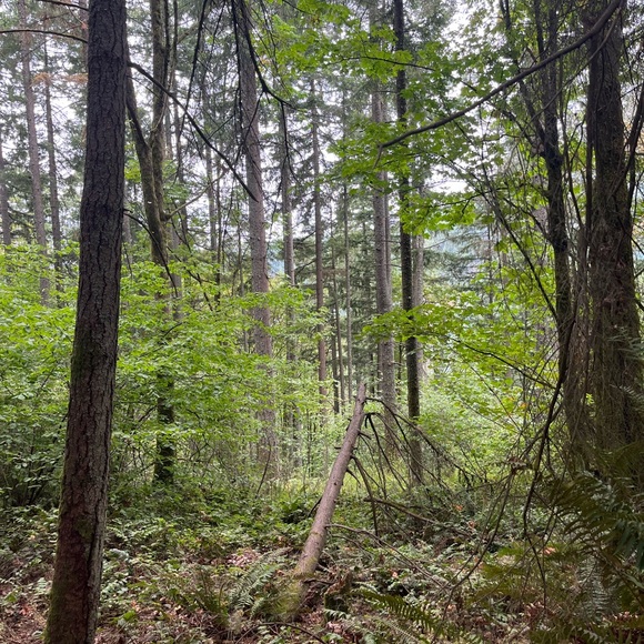 Meet your Posher, Mariah - Picture 1 of 1